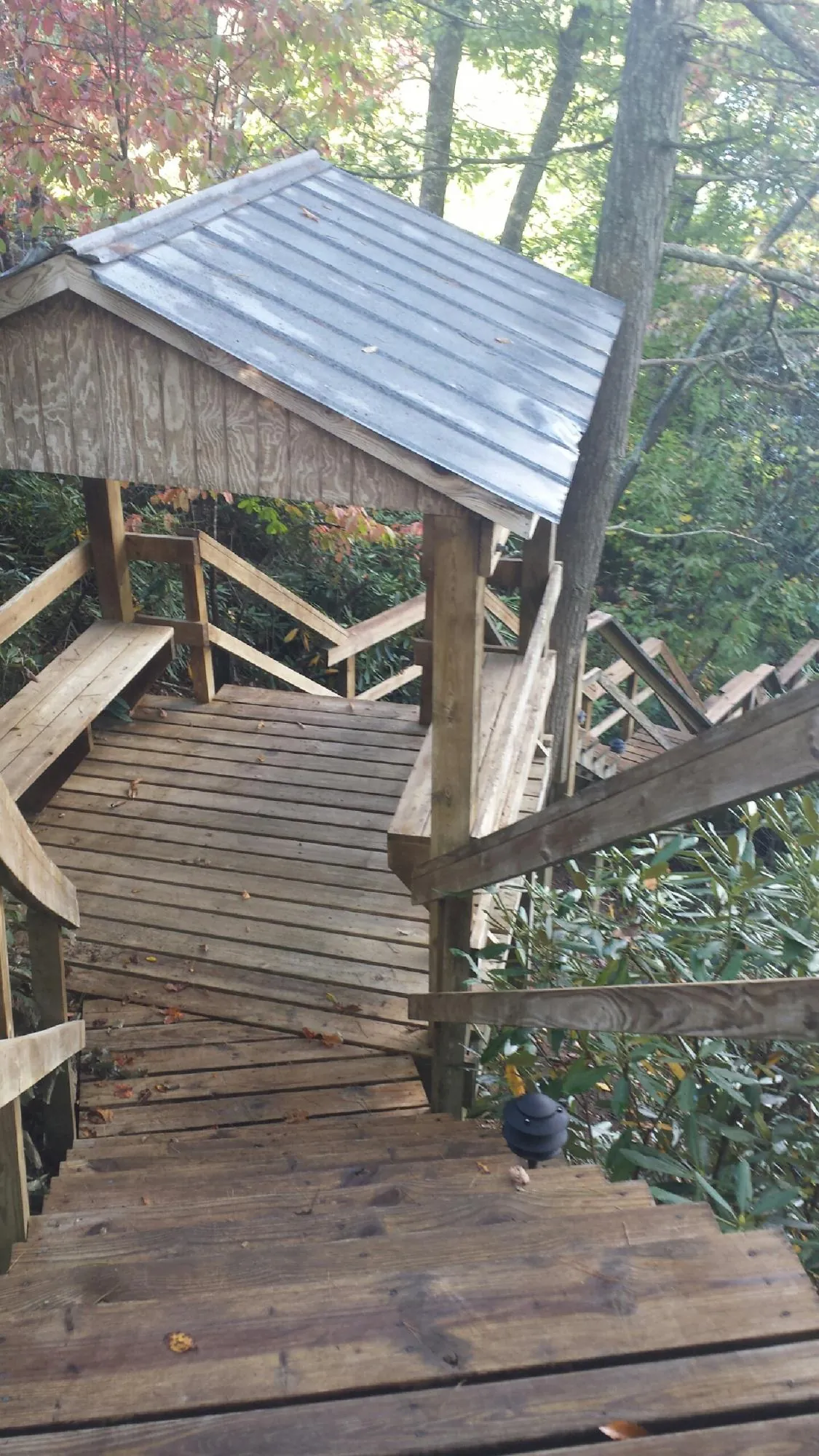 Metal roofed shelter over wooden steps on a wooded walkway — Skylight Repair & Installation work by our crew in Cedar Springs