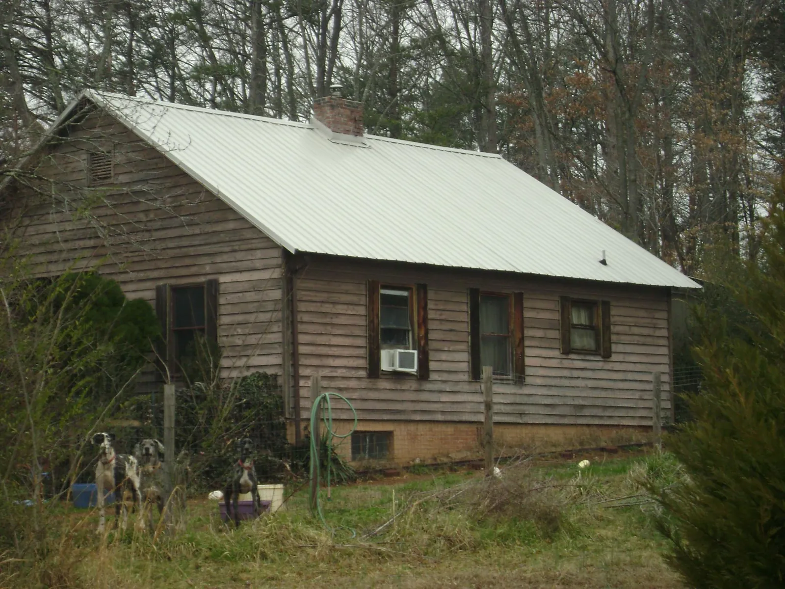 White metal roof on an old wood sided farmhouse, from a Asphalt Shingle Roof Repair job in Cedar Springs